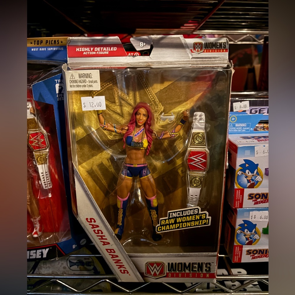 Nwt WWE Sasha Banks Action Figure with Championship Belt